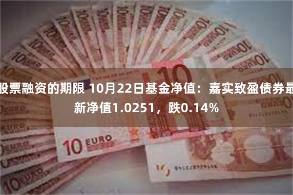 股票融资的期限 10月22日基金净值：嘉实致盈债券最新净值1.0251，跌0.14%