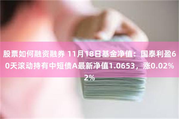 股票如何融资融券 11月18日基金净值：国泰利盈60天滚动持有中短债A最新净值1.0653，涨0.02%