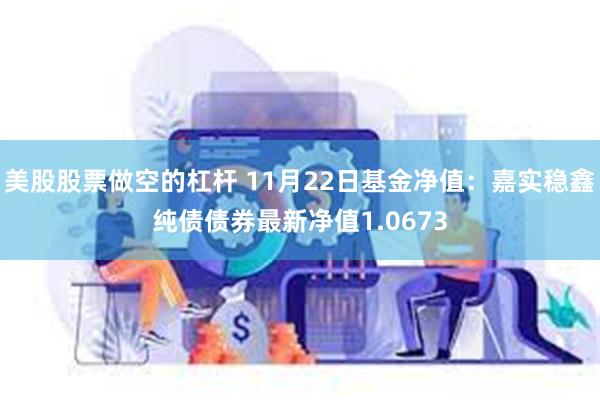 美股股票做空的杠杆 11月22日基金净值：嘉实稳鑫纯债债券最新净值1.0673