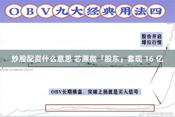 炒股配资什么意思 芯原微「股东」套现 16 亿