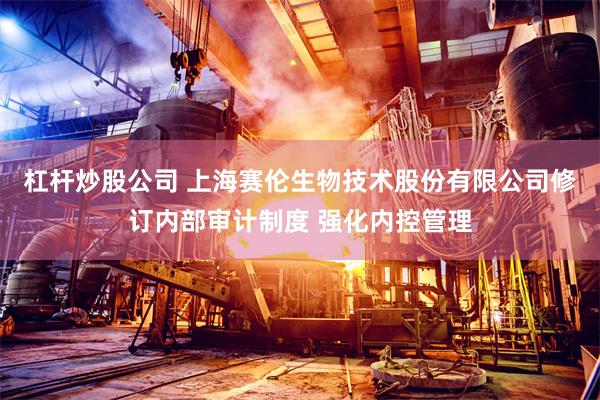 杠杆炒股公司 上海赛伦生物技术股份有限公司修订内部审计制度 强化内控管理