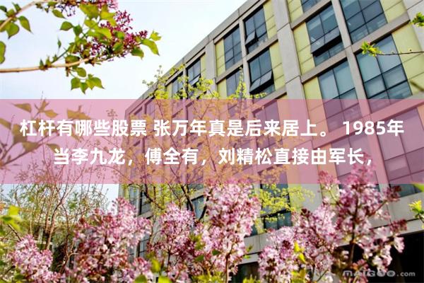杠杆有哪些股票 张万年真是后来居上。 1985年当李九龙，傅全有，刘精松直接由军长，