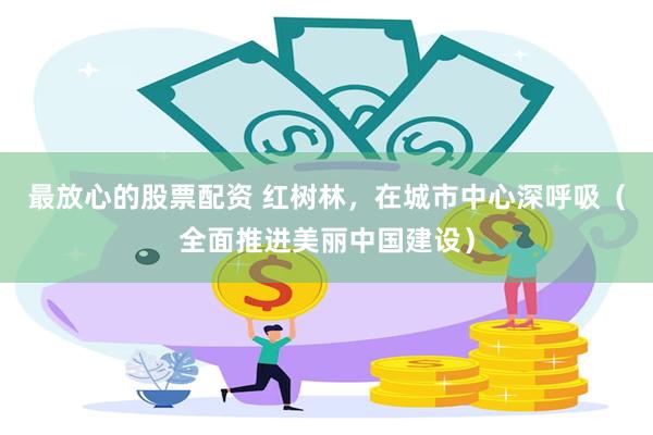最放心的股票配资 红树林，在城市中心深呼吸（全面推进美丽中国建设）